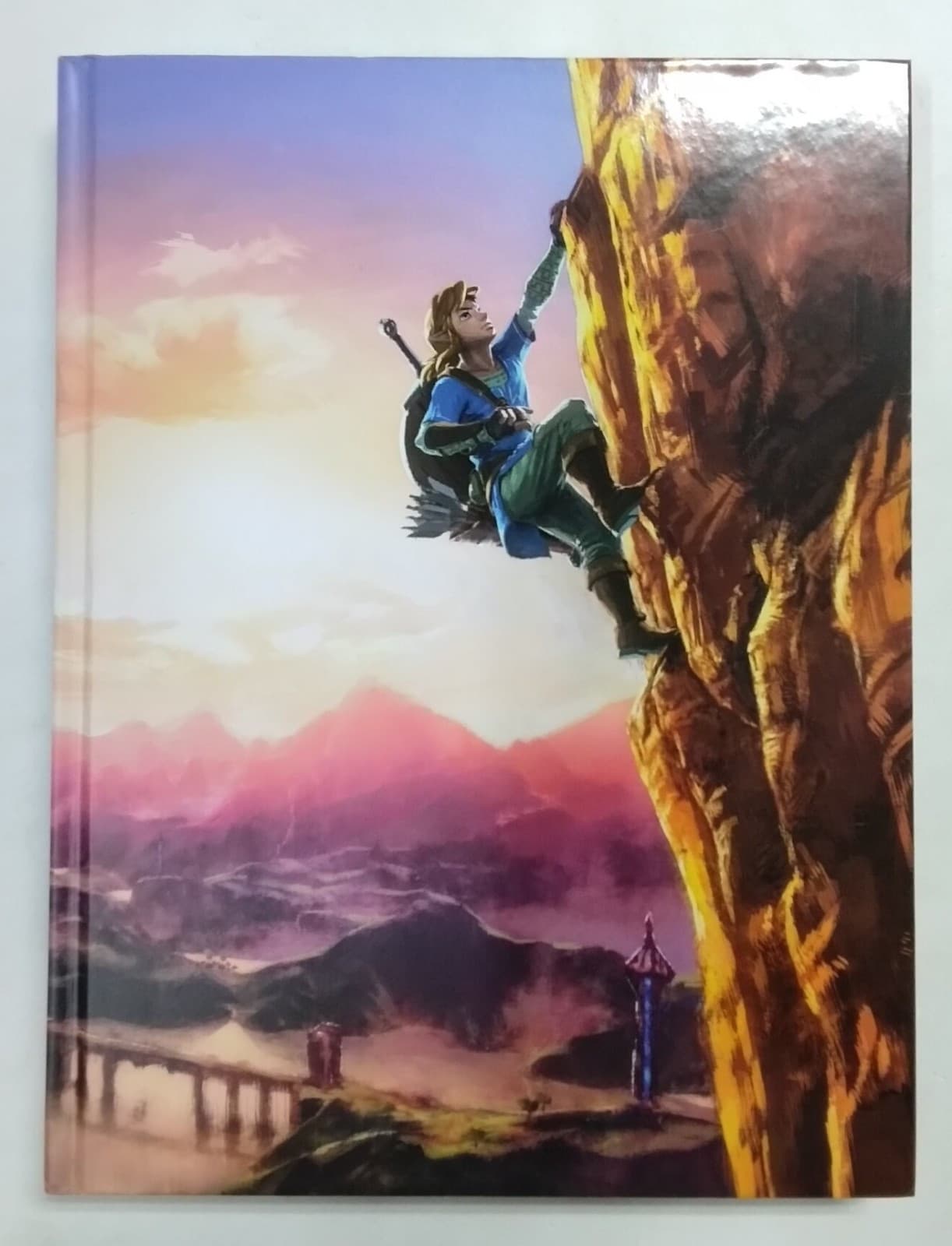 GUIDA STRATEGICA THE LEGEND OF ZELDA BREATH OF THE WILD ITA CONDIZIONI FOTO